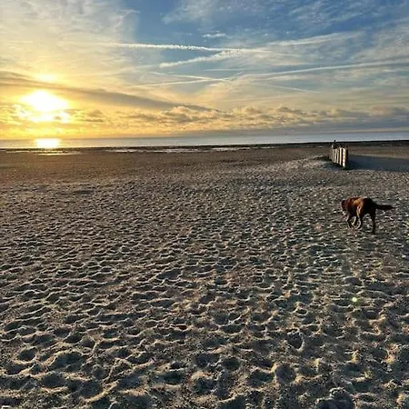 Daire Neu - 49qm - Am Suedstrand